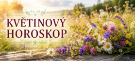 Jak� kv�tina jste podle horoskopu? Mo�n� v�s v�sledek p�ekvap�