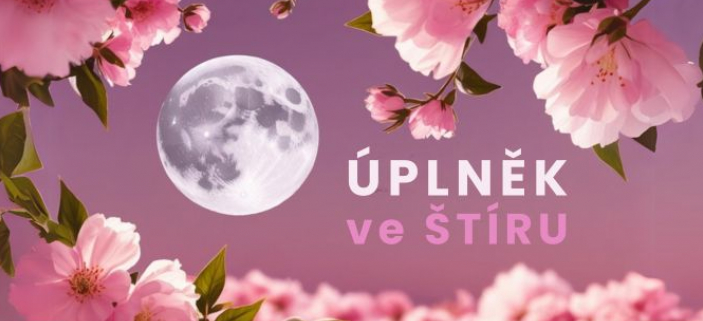 Pichz KVTINOV PLNK ve tru: Pravda, kter rozkvt i bol