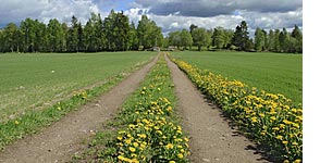 Fotolia_povidka_puklina-v-mise.jpg