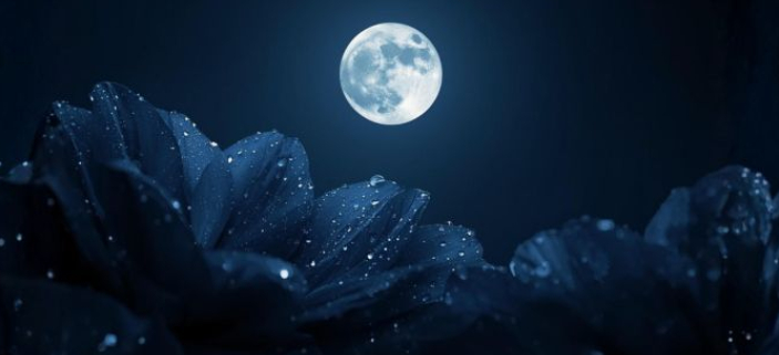 �PLN�K VE �T�RU NA 1. M�JE 2026: L�SKA, KTER� ODHAL�